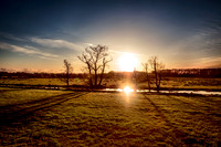 Nature to gift