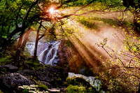 Nature to gift